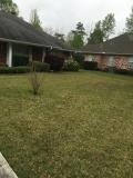 A recent lawn care service job in the area